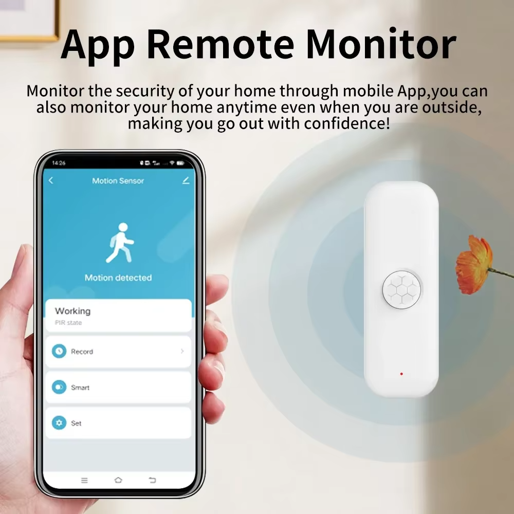 Tuya WiFI PIR Motion Sensor Sm - đánh giá và giá Home Security With Alarm