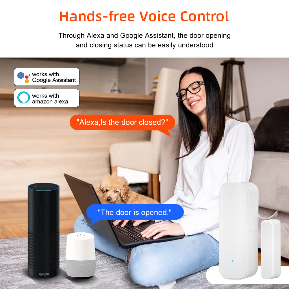 Tuya WiFi Zigbee Window Door S - đánh giá và giá Home Security With Ai