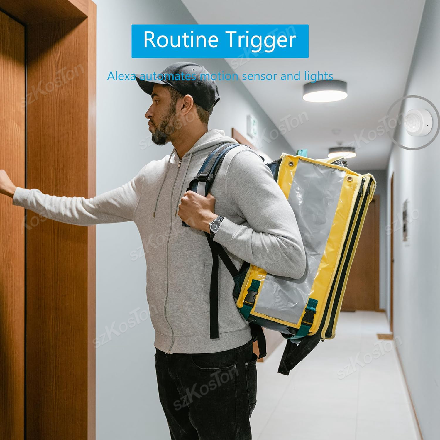 eWelink APP Zigbee Motion Sens - đánh giá và giá Home Security With Alarm