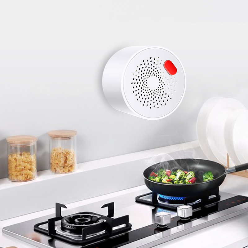 Tuya Smart Home Wifi Natural G - đánh giá và giá Home Security With Ai