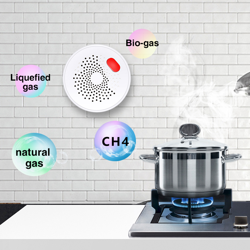 Tuya Smart Home Wifi Natural G - đánh giá và giá Home Security With Ai