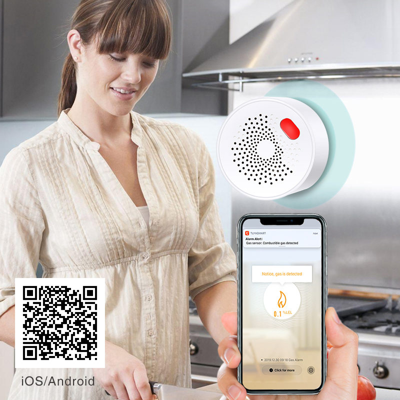 Tuya Smart Home Wifi Natural G - đánh giá và giá Home Security With Ai